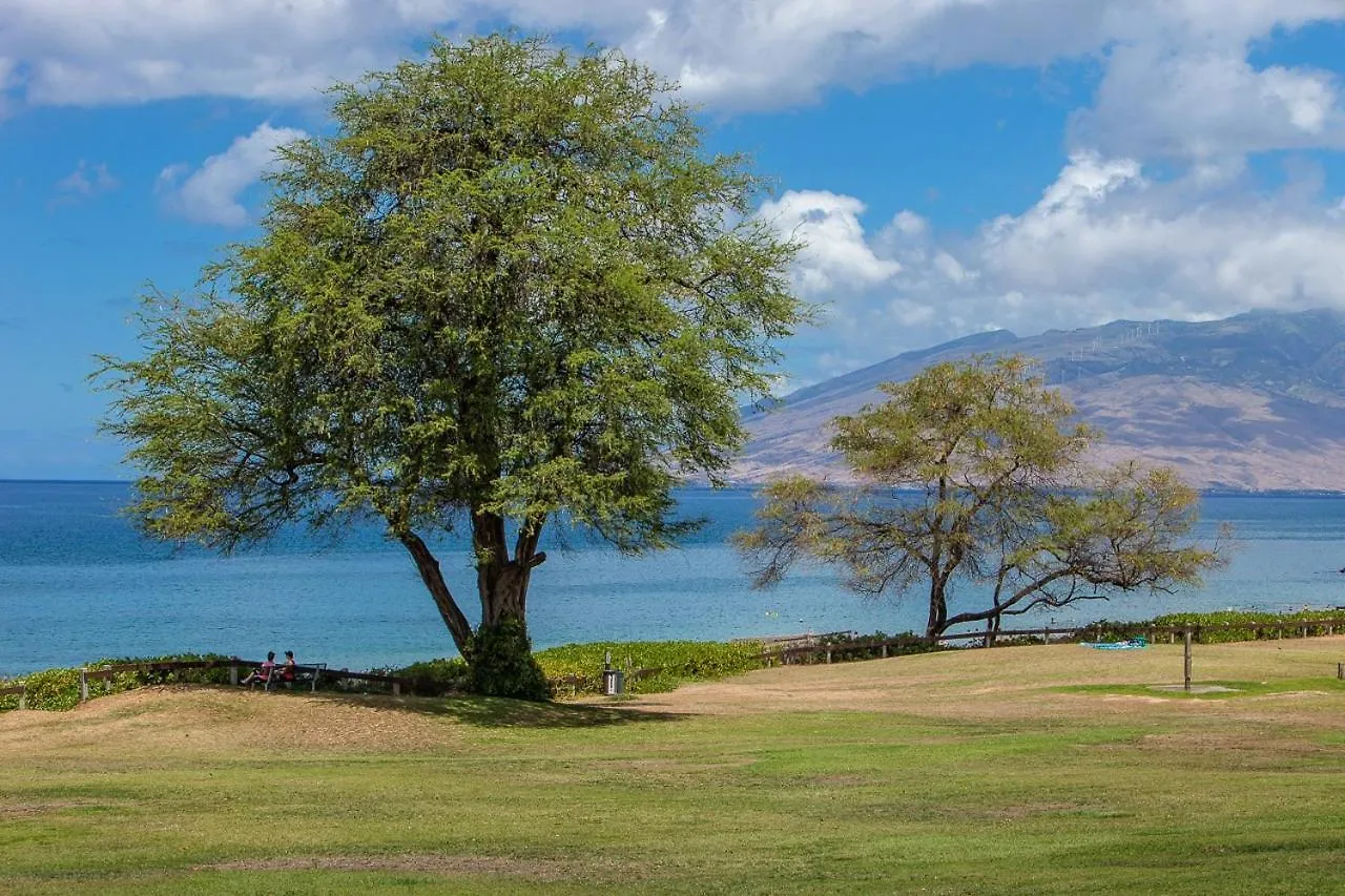 Kamaole Sands 6-207 Condo Wailea  Wailea (Maui)